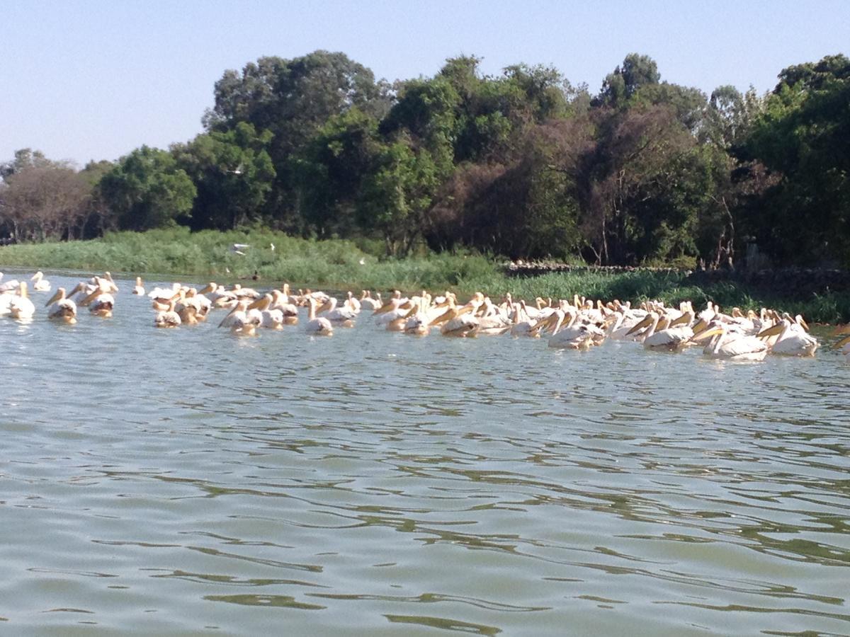 Lakemark Hotel And Tour Service Bahir Dar Exterior foto