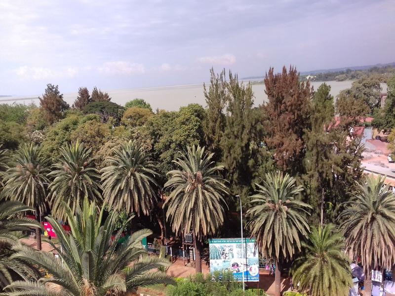 Lakemark Hotel And Tour Service Bahir Dar Exterior foto