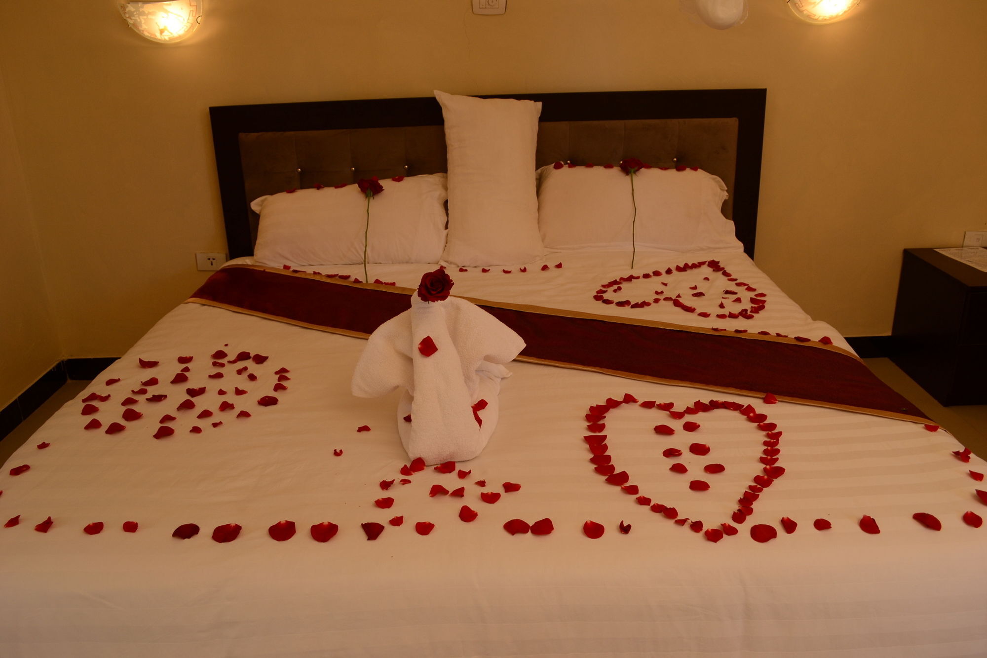 Lakemark Hotel And Tour Service Bahir Dar Exterior foto